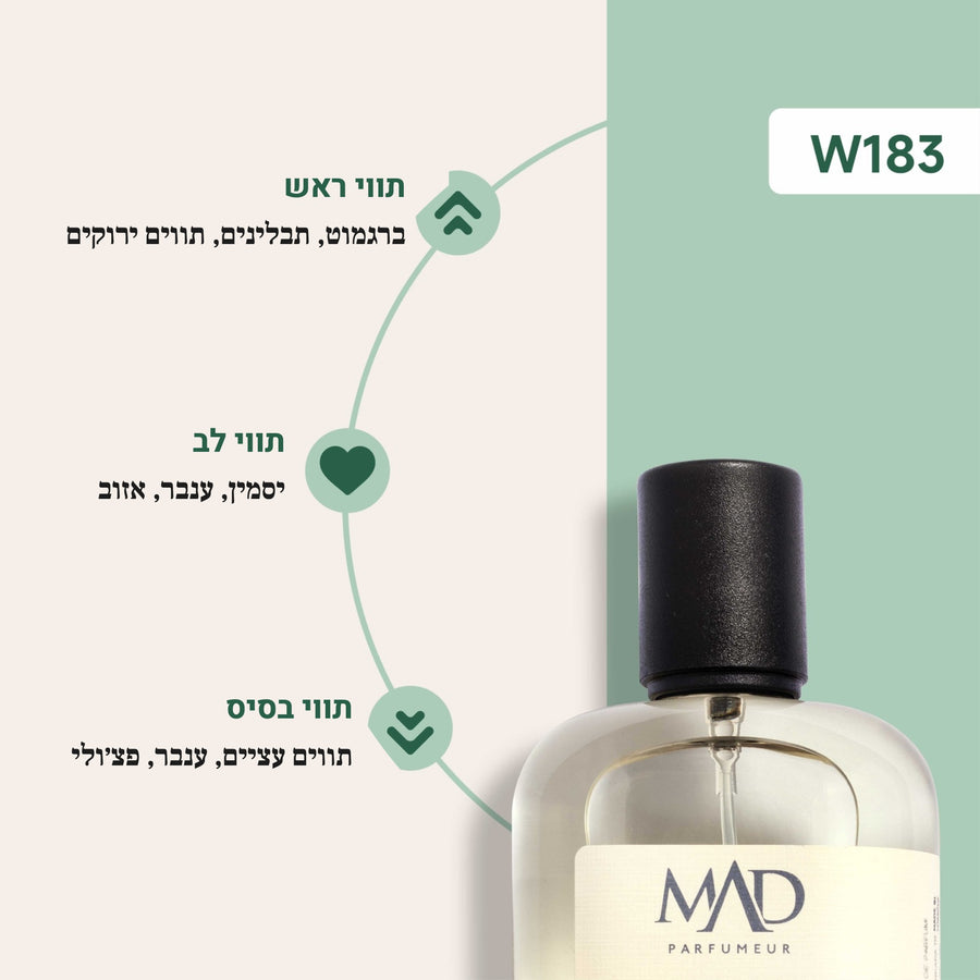 W183 - CREED AVENTUS