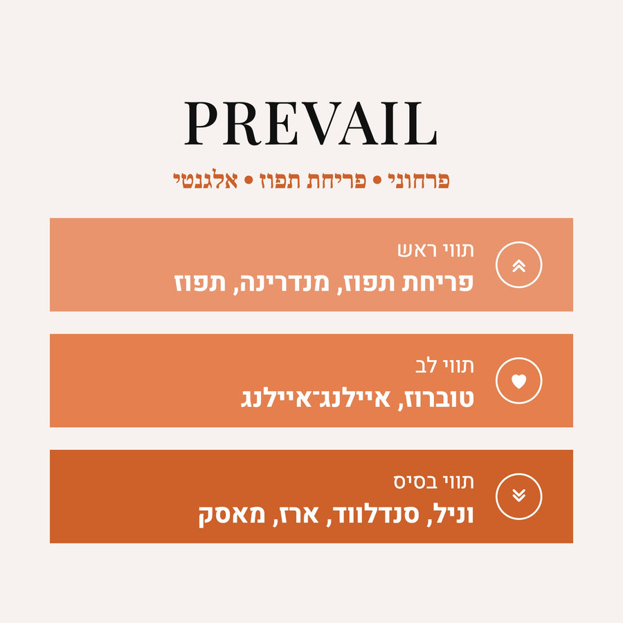Prevail - Marfa Memo Paris