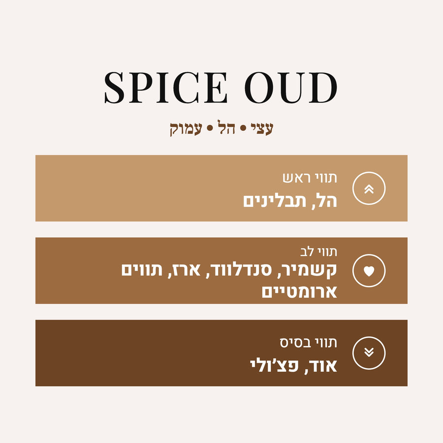 Spice Oud - Spice Oud - Oud Wood Tom Ford