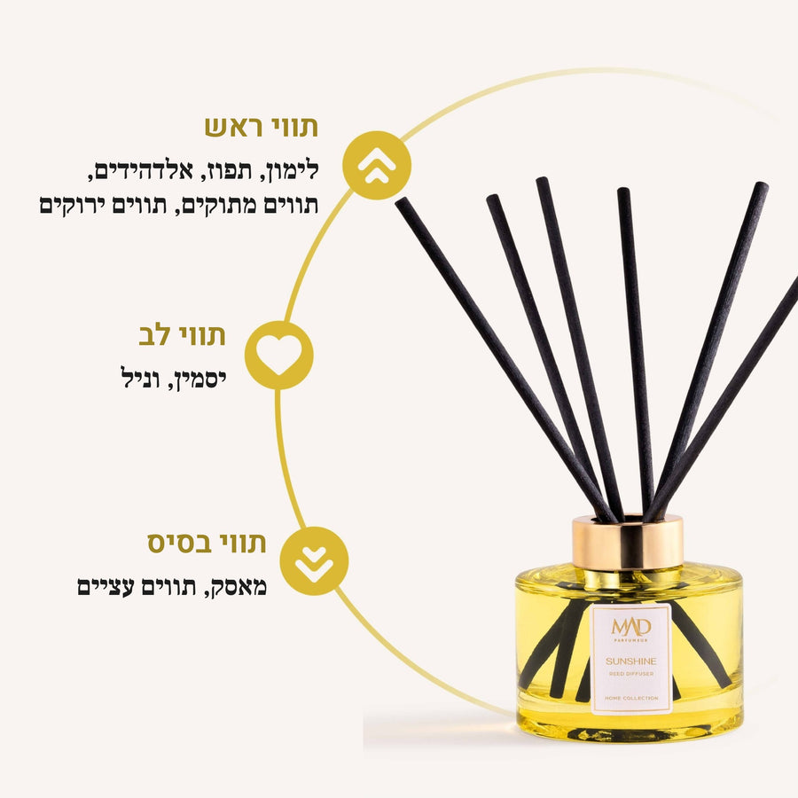 SUN SHINE - חדש