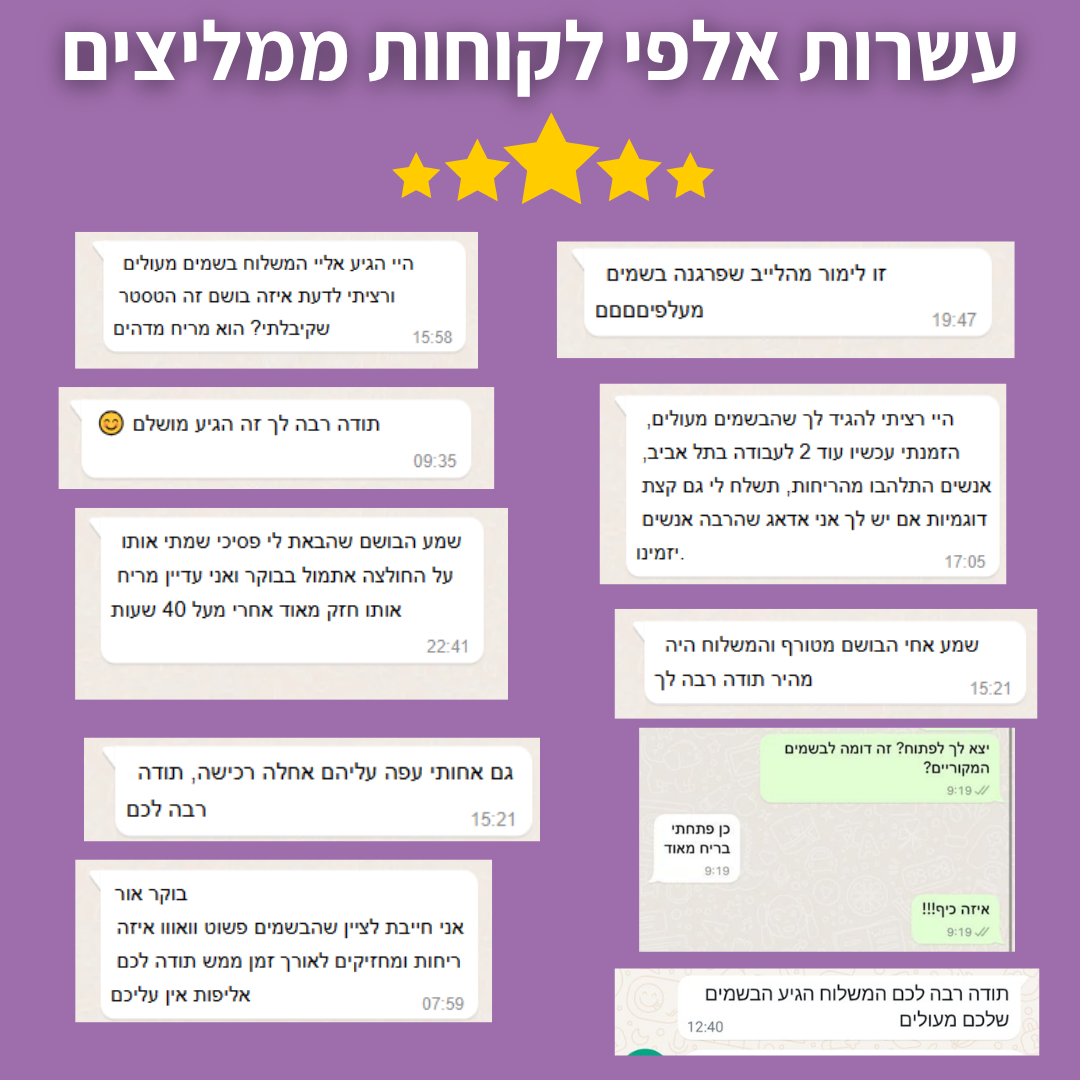 W169 - תואם ג'ימי צ'ו/Jimmy Choo