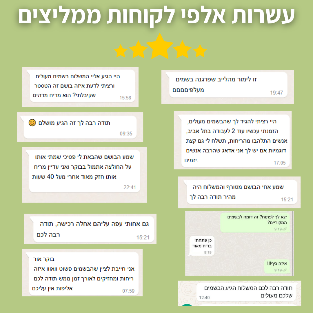 D116 - קיו דולצה גבאנה/ Q by Dolce & Gabbana