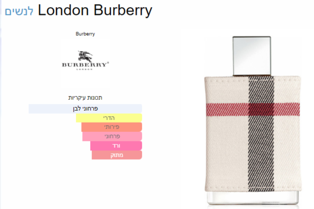 B110 - Burberry London