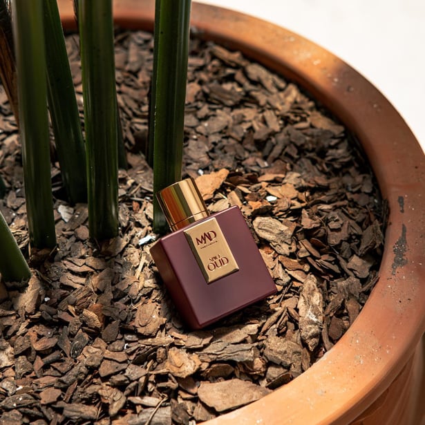 Spice Oud - Spice Oud - Oud Wood Tom Ford