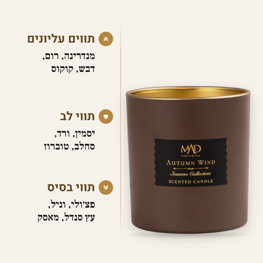 AUTUMN WIND - חדש