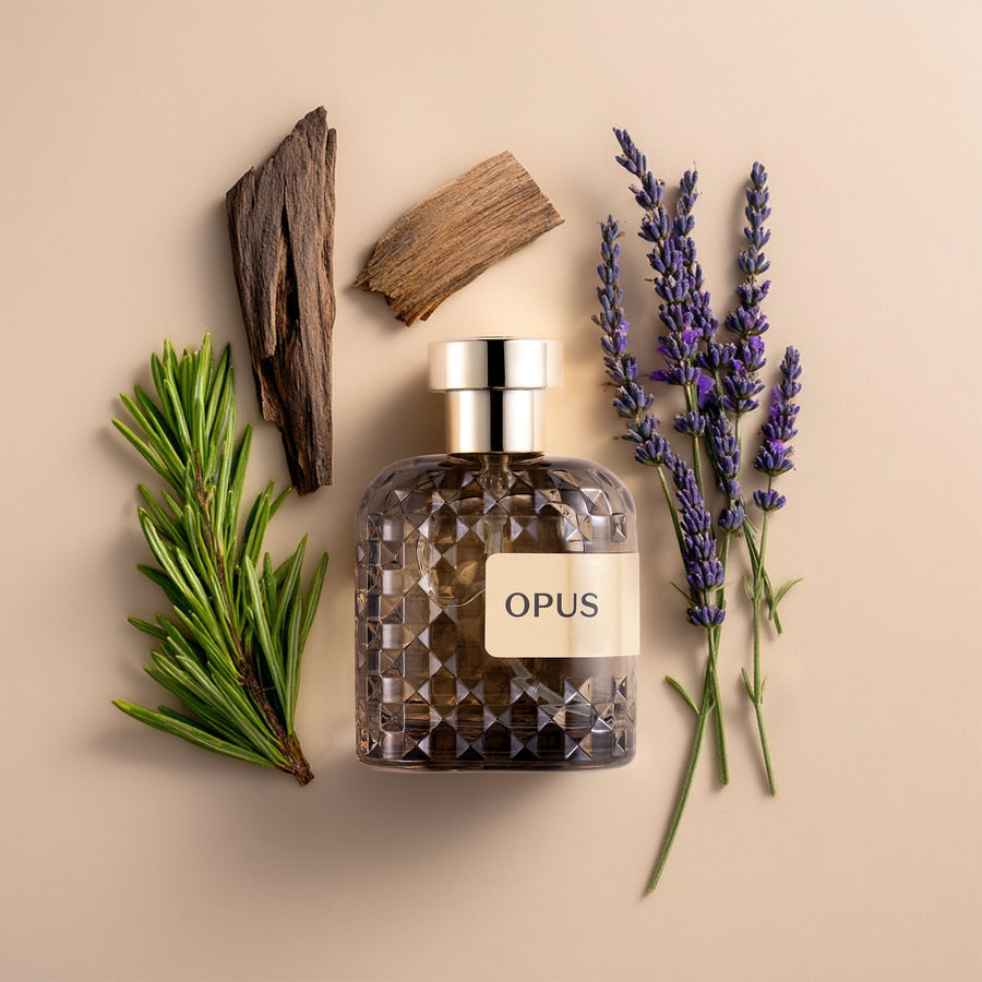 Opus - AMBER WOOD