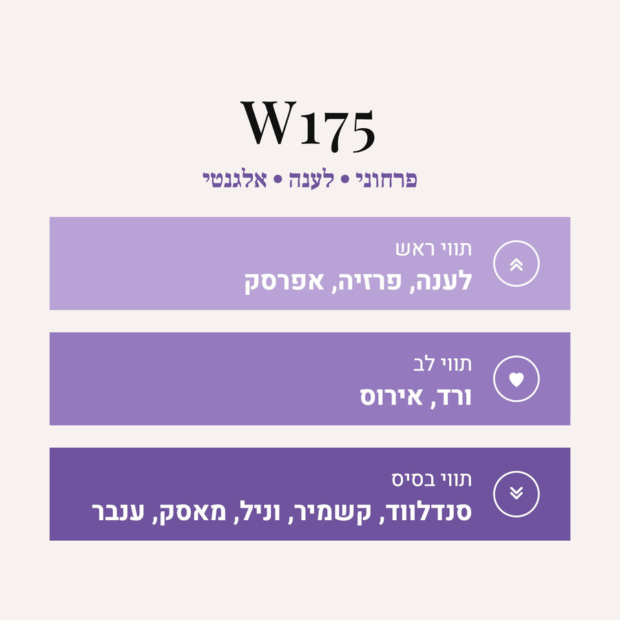 W175 - Body Burberry