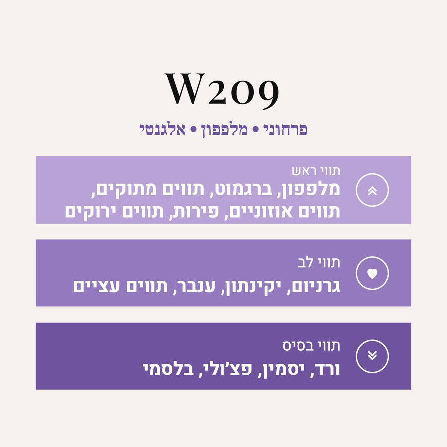 W209 - My Burberry Burberry