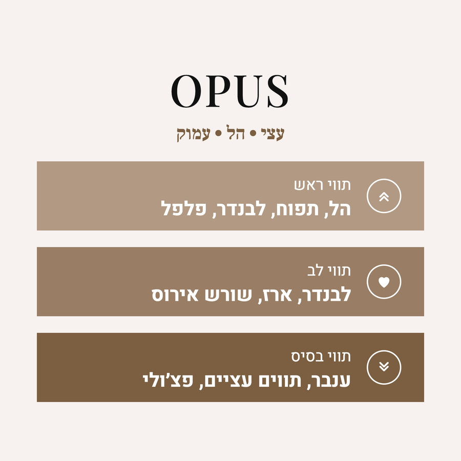 Opus - AMBER WOOD
