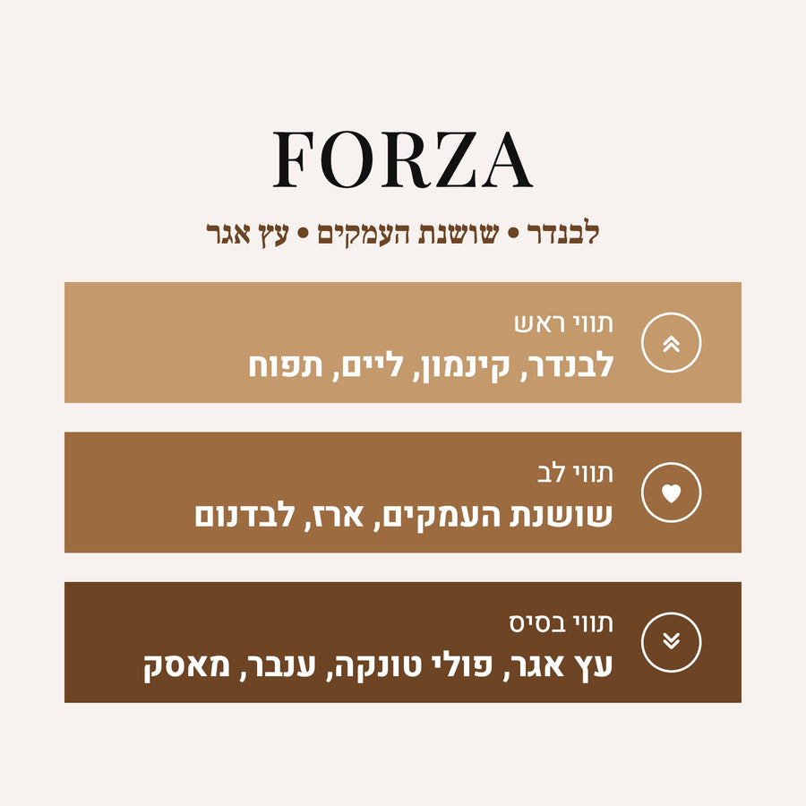 Forza - Alexandria II Xerjoff