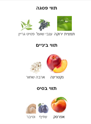 J104 או Q103 - Nectarine Blossom & Honey Jo Malone London