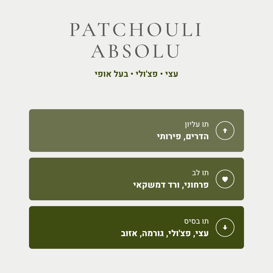 Patchouli Absolu - DOLCE&GABBANA DGVIB3