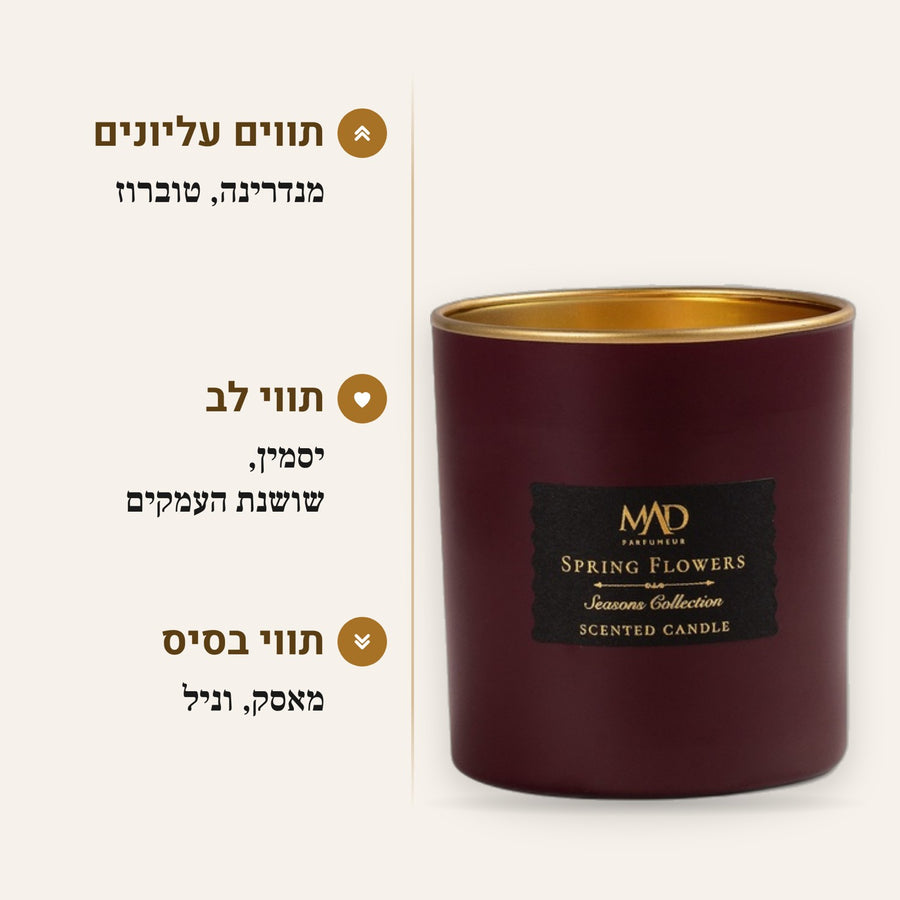 SPRING - חדש